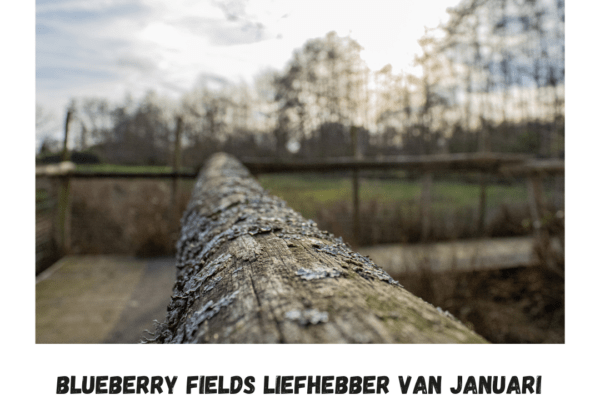 Blueberry Fields fotowedstrijd winnaar januari